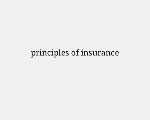principles of insurance